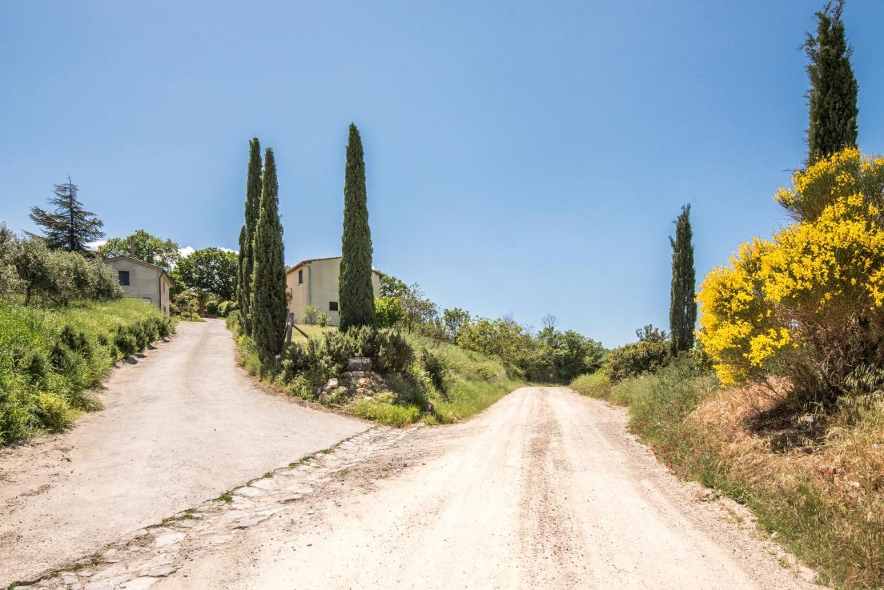 Appartamento Gemma Verde-Tavoleto Castiglione dʼOrcia Exteriér fotografie