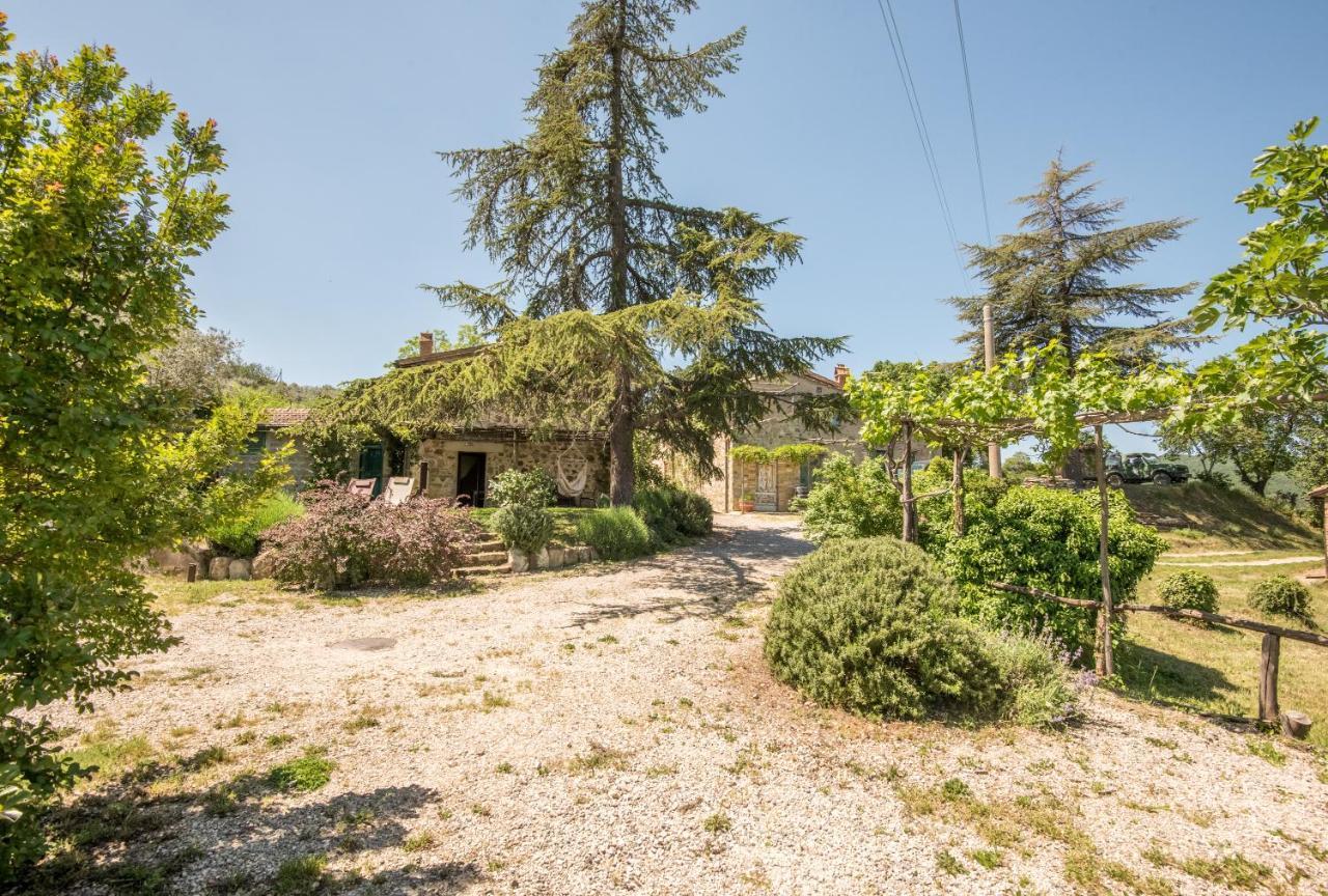 Appartamento Gemma Verde-Tavoleto Castiglione dʼOrcia Exteriér fotografie