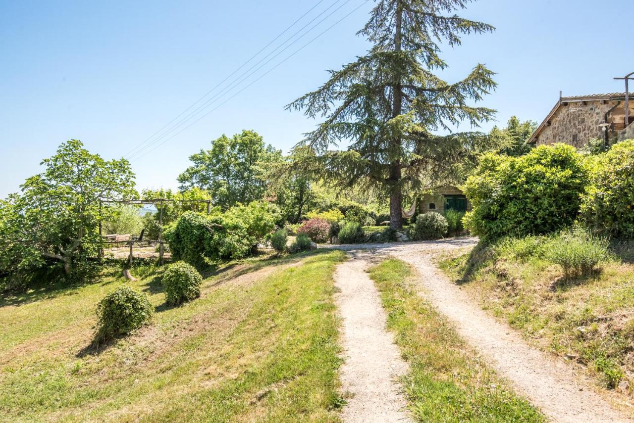 Appartamento Gemma Verde-Tavoleto Castiglione dʼOrcia Exteriér fotografie